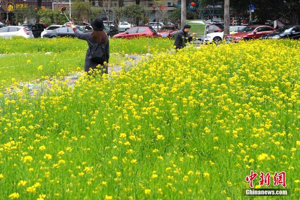 消息億緯鋰能成為特斯拉第6家電池供應(yīng)商：2026年開(kāi)始供貨