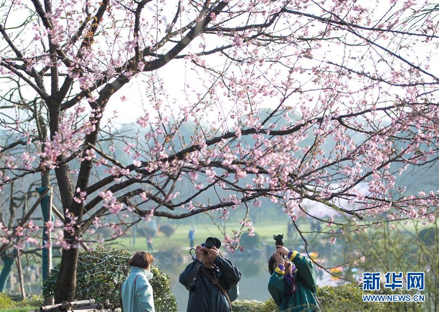 此前效力寧波隊(duì)！卡洛斯