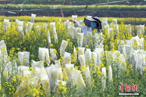 明天迅猛降溫 10余省會氣溫將創(chuàng)下半年來新低 哈爾濱跌破冰點