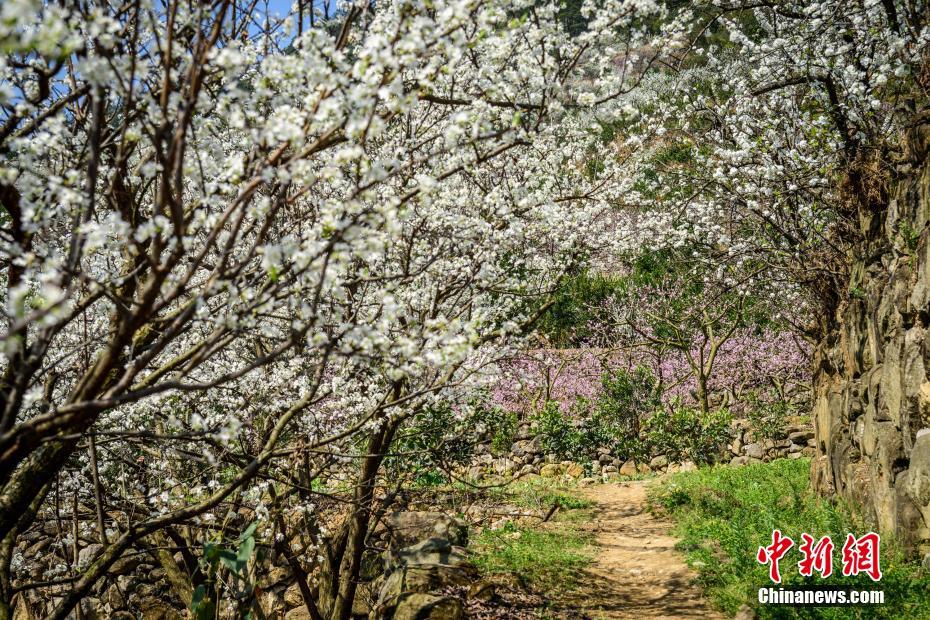 諾伊爾17分鐘染紅，納格爾斯曼：事后人們總是會(huì)變得更聰明