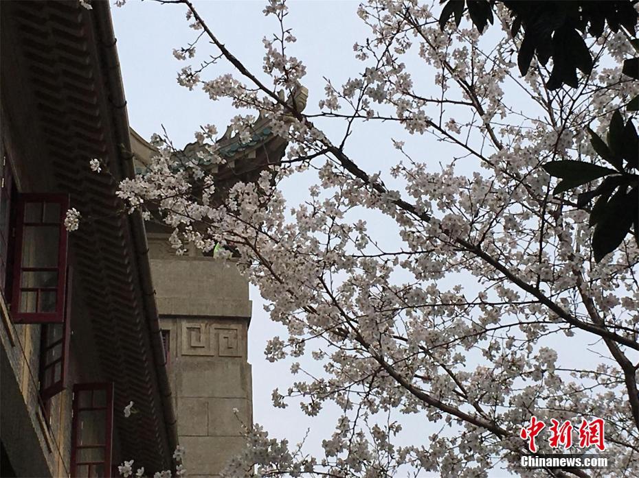 [流言板]華萊士談與申京沖突：無論發(fā)生什么事，我們都不會(huì)畏縮