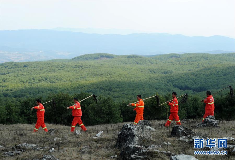 韓國(guó)和tsm沒(méi)拿冠軍就是爽！