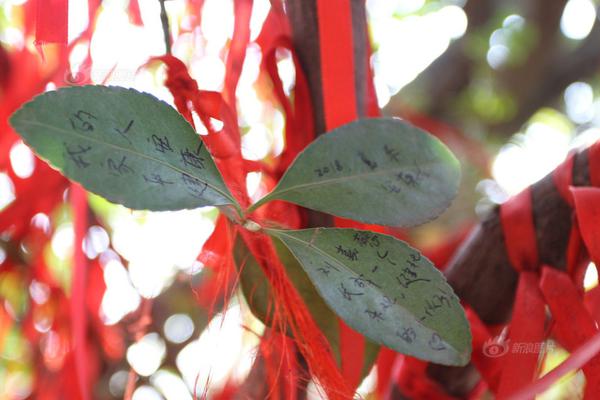 把懷特和霍樂(lè)迪雙后衛(wèi)換成湖人的水拉和里夫斯，雙探花是否依然能奪冠？