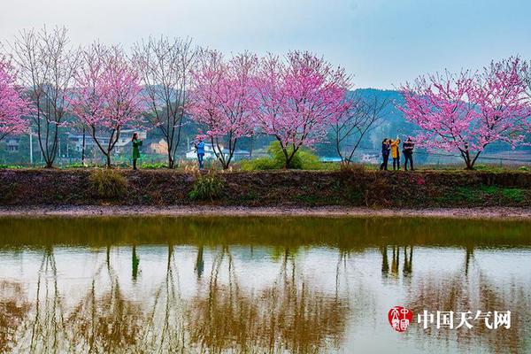 支付寶連續(xù)三年獲央行權(quán)威獎(jiǎng)項(xiàng)：數(shù)億人使用門檻大大降低