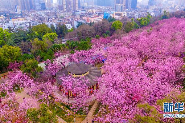 法外狂徒張三沃爾沃什么梗