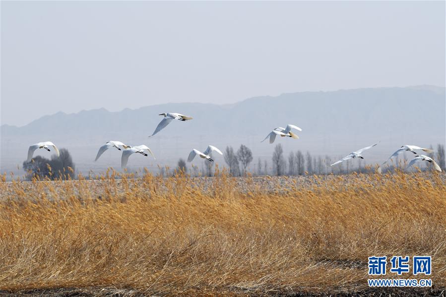 諾伊爾17分鐘染紅，納格爾斯曼：事后人們總是會(huì)變得更聰明