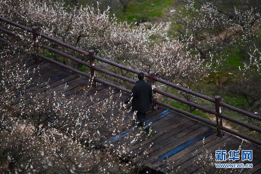 [一圖流]傳奇杯：icon瑞茲中路成功換血，對位單殺Doinb塞拉斯