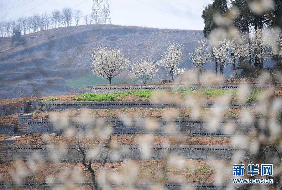 巴基斯坦西北部一檢查站遭恐襲 已致16名軍人死亡