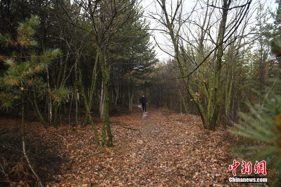 余承東已抵達(dá)三亞：將與四界老總開啟鴻蒙智行年度直播