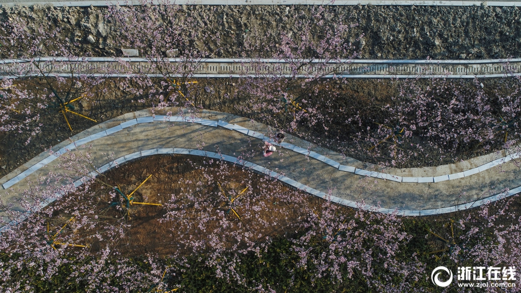 合資車首家！東風日產(chǎn)將與華為聯(lián)合研發(fā)智能座艙