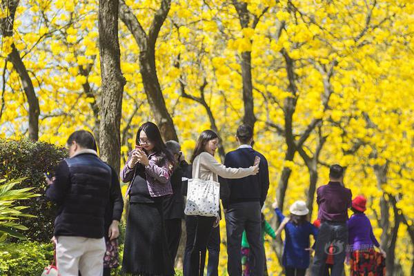 女生“新秋褲”鯊魚褲走紅 有人穿了肚子疼  醫(yī)生：太緊、太硬