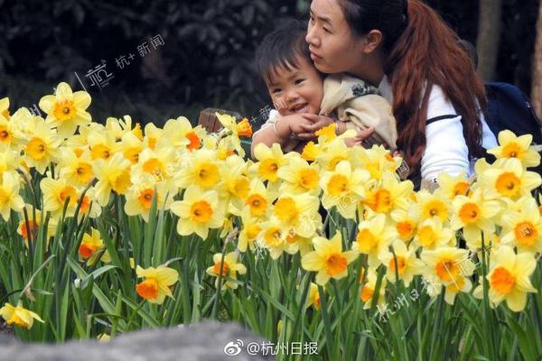 生前曾大力資助流浪狗 美國男星家中去世：遺體遭愛犬啃食