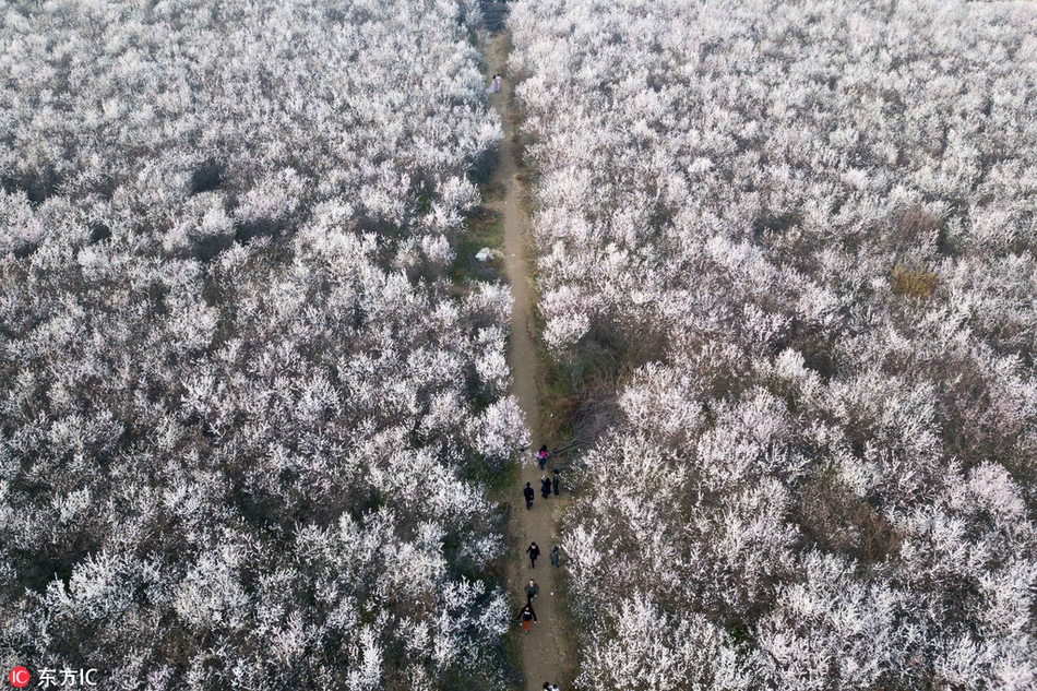 [流言板]打花比賽！波普助攻艾薩克完成空接暴扣，魔術(shù)領(lǐng)先鵜鶘24分