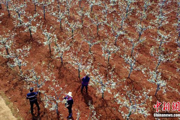 博主堅稱iPhone 17 Pro使用鈦金屬：換成鋁 蘋果還怎么吹