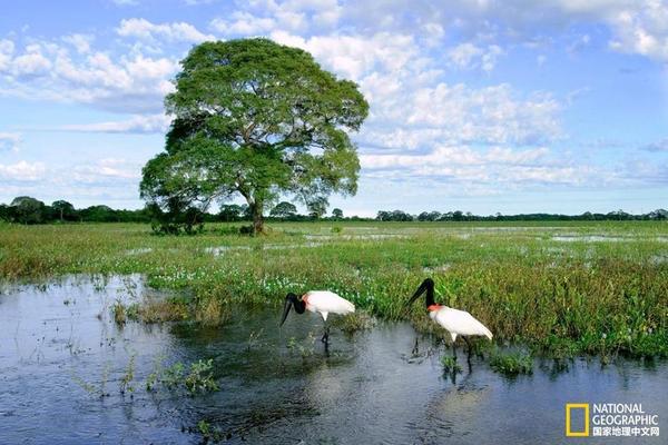 小米澎湃OS 2新增“幫你記”：證照、日程都可智能提取