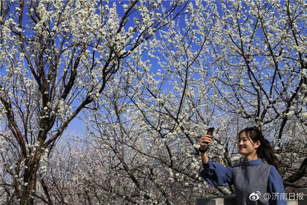 高通收購英特爾興趣減退：或考慮股權(quán)交易