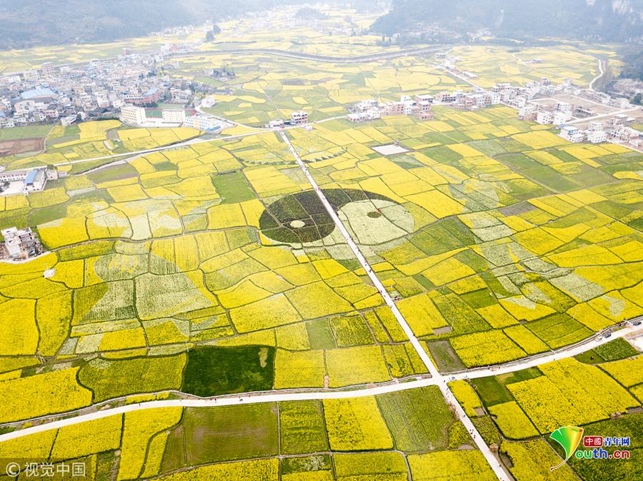 中國建筑科學研究院：繁榮“建鴻”生態(tài)  推進建筑科技產(chǎn)業(yè)升級